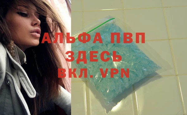 ПСИЛОЦИБИНОВЫЕ ГРИБЫ Беломорск