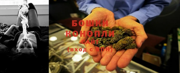 ПСИЛОЦИБИНОВЫЕ ГРИБЫ Беломорск