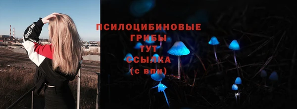 ПСИЛОЦИБИНОВЫЕ ГРИБЫ Беломорск