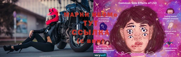 прущая мука Белокуриха
