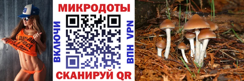 Псилоцибиновые грибы прущие грибы  Заинск 